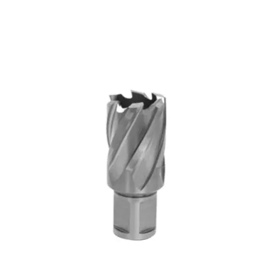 1 1/4 CORE DRILL BIT