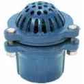 2″ ECONO CAST FOOT VALVE