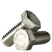 3/4X7NC SS BOLT