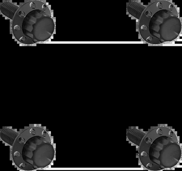 Arlen NESS 12-Point Windshield Bolt Kit