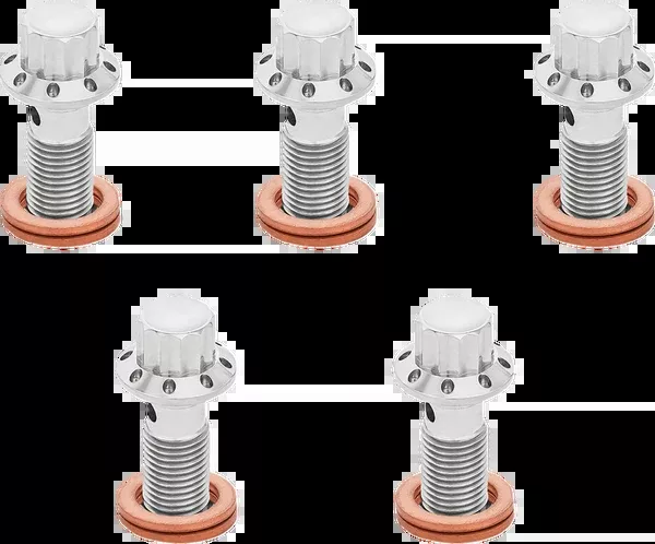 Arlen NESS Banjo Bolt 5-Pack – M10x1.0 – Polished