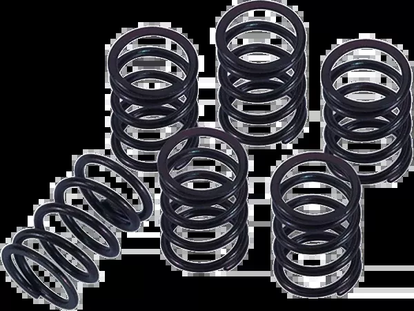 Barnett Clutch Spring Kit – Honda