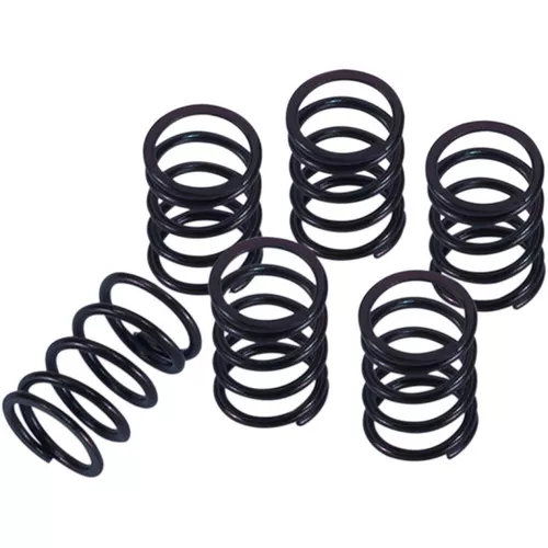 Barnett Standard Clutch Spring Kit (501-31-06146)