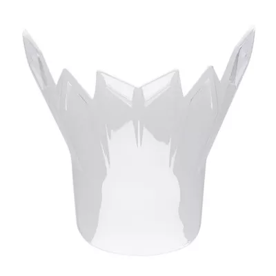 Bell Moto-9 Flex Mud Visor