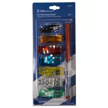 CAR FUSE ASSORTMENT