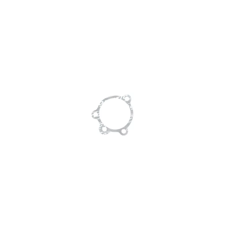 CG Air Cleaner Gasket