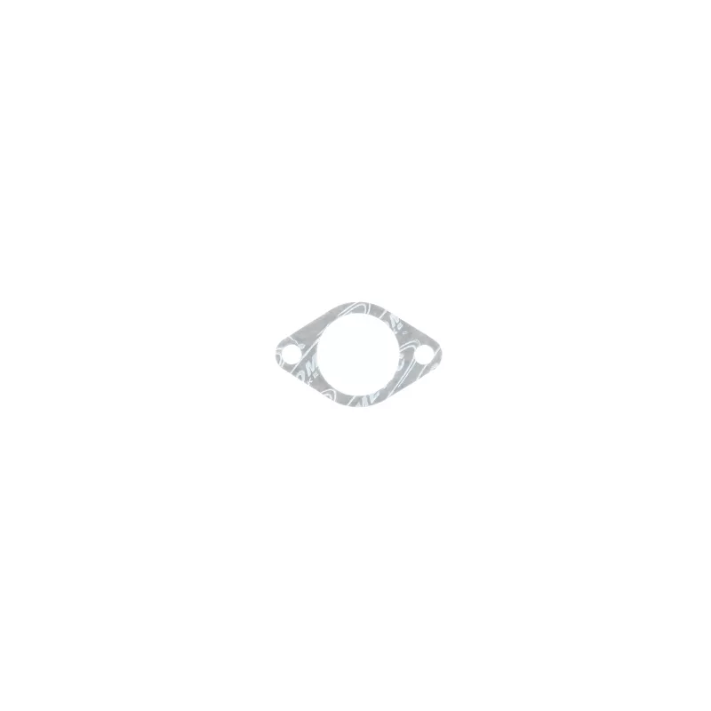 CG Powersports Intake Gaskets