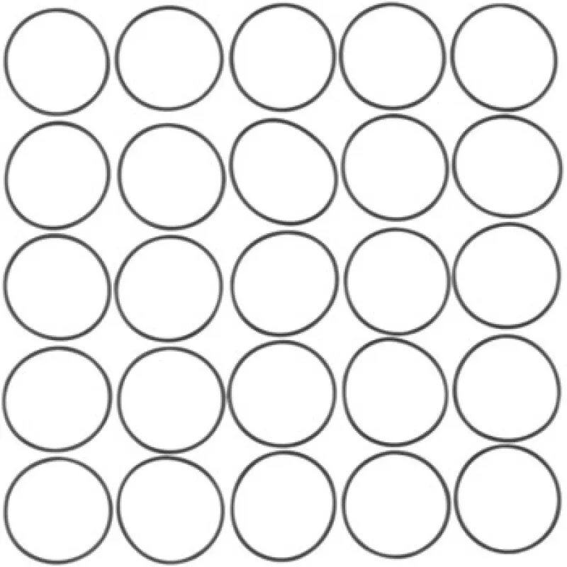 CG Viton O-Ring