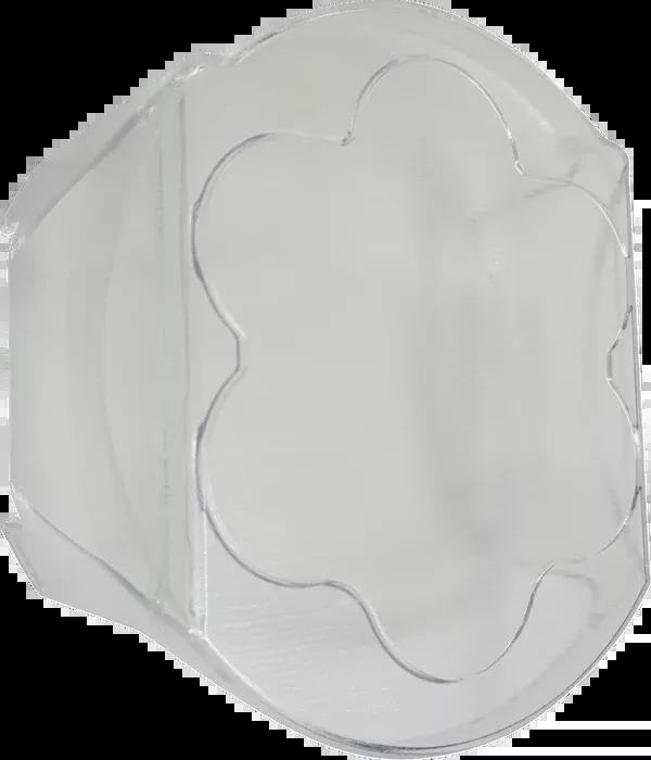 Custom Dynamics Headlight Guard – Shark Demon 2 – Clear