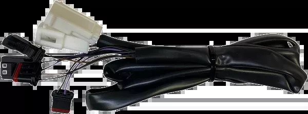 Custom Dynamics Taillight Harness - Low Rider