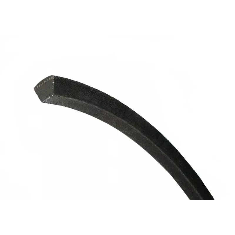 DOUBLE BANDED BELT