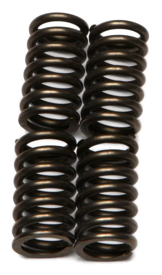 EBC CSK115 Clutch Spring Kit