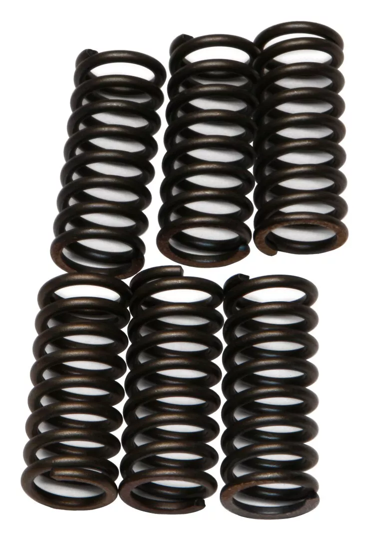 EBC CSK29 Clutch Spring Kit