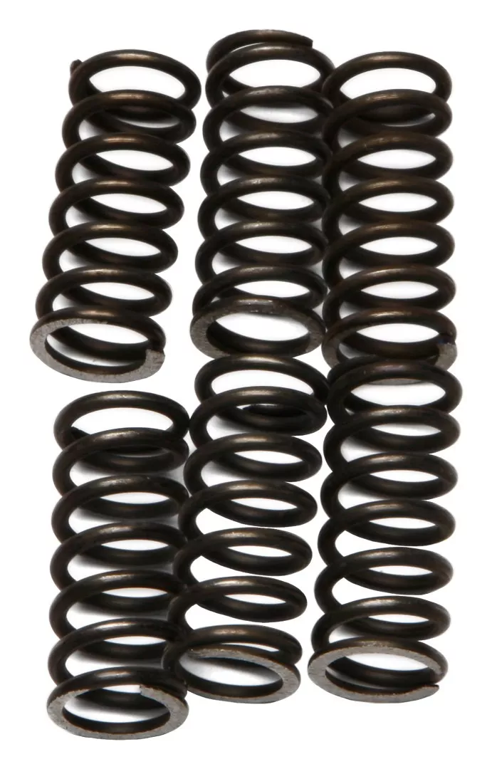 EBC CSK46 Clutch Spring Kit
