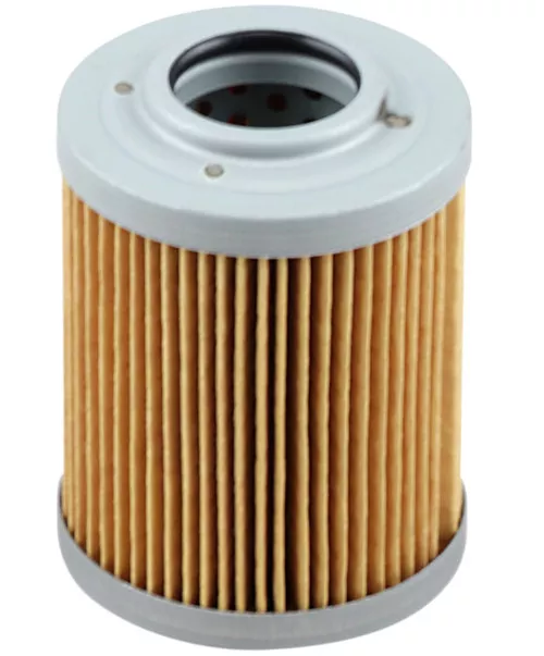 Emgo Oil Filter (10-26954)