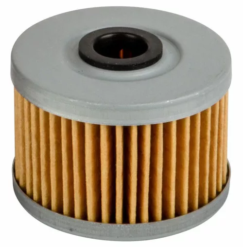 Emgo Oil Filter (10-99200)