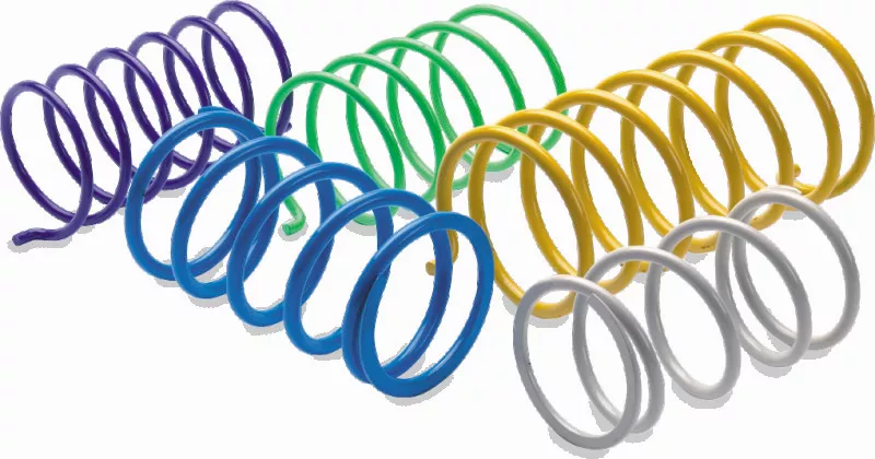 EPI Clutch Springs