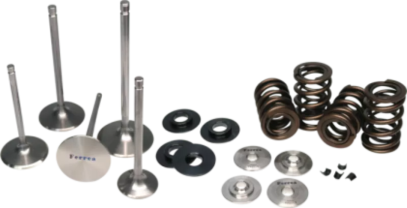 FER Powersports Valve Spring Kits