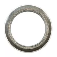 FLANGE GASKET