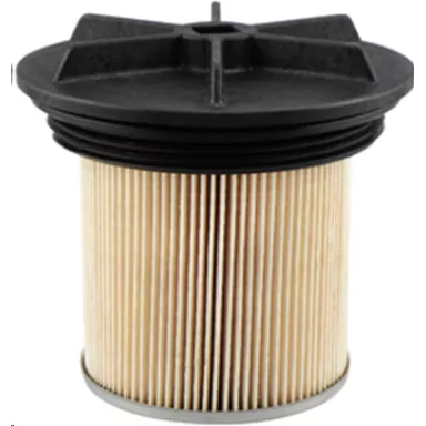 FUEL ELEMENT W LID