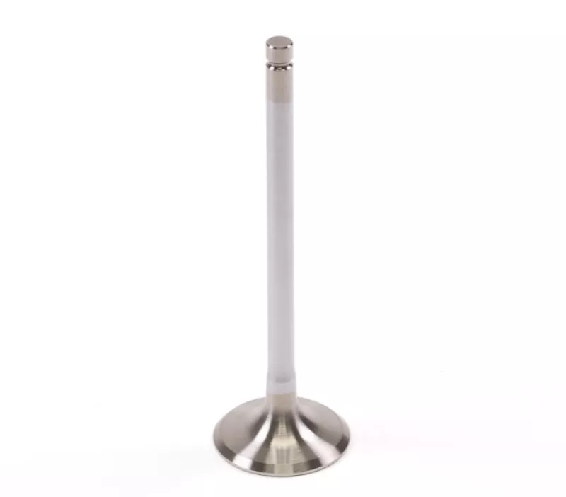 GSC Powersports Exhaust Valves
