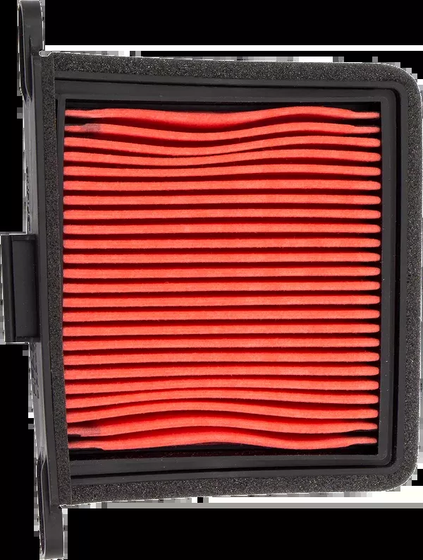 Hiflofiltro OEM Replacement Air Filter - Left - Triumph