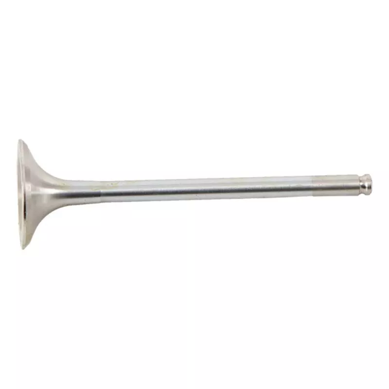 HOC Exhaust Valve