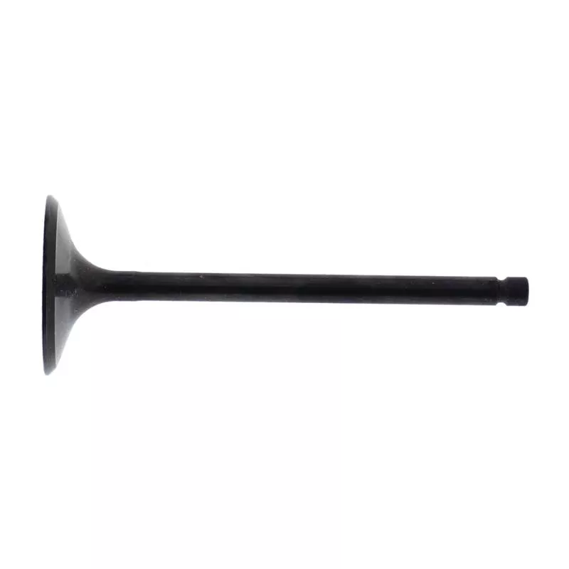 HOC Intake Valve