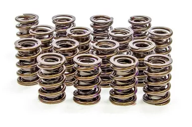 Isky 1.430in Valve Springs 6005