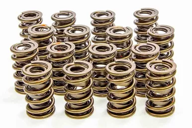 Isky 1.530 Valve Springs 8005 PLUS