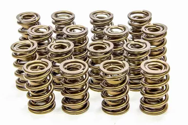 Isky 1.570 Valve Springs 9988RAD