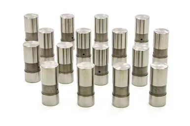 Isky Chevy Solid Lifters 202H