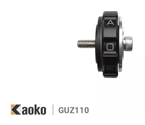 Kaoko Throttle Stabilizer Moto Guzzi California / Eldorado 2013-2020