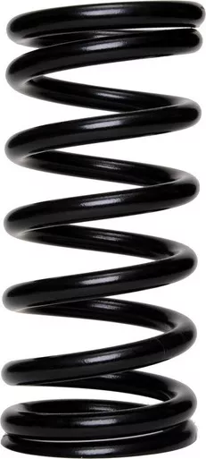 Landrum 12in. x 5.5in. x 800# Front Spring F800