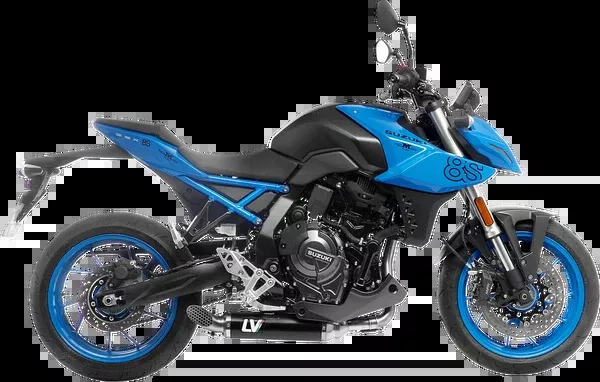 LeoVince LV Race Exhaust System – Stainless Steel
