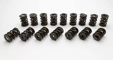 Manley 1.530 NexTek Dual Valve Springs 221432-16