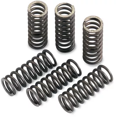 Moose Clutch Spring Set (FHDS93-6)