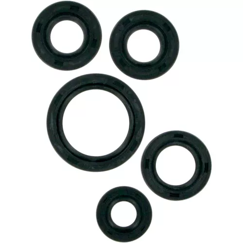 Moose Complete Engine Oil Seal Kit (M822138)