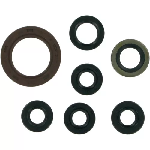 Moose Complete Engine Oil Seal Kit (M822201)