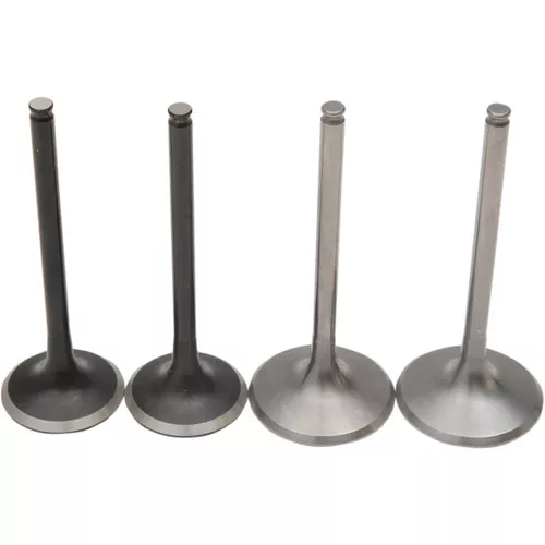 Moose Pro Valve Kit Titanium/Stainless (0926-2584)