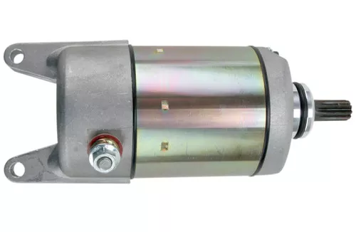 Moose Starter Motor (2110-0339)