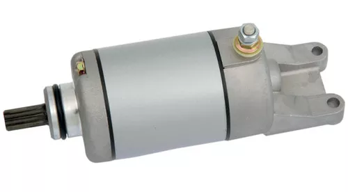 Moose Starter Motor (2110-0389)