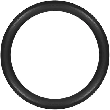O-RING/GASKET