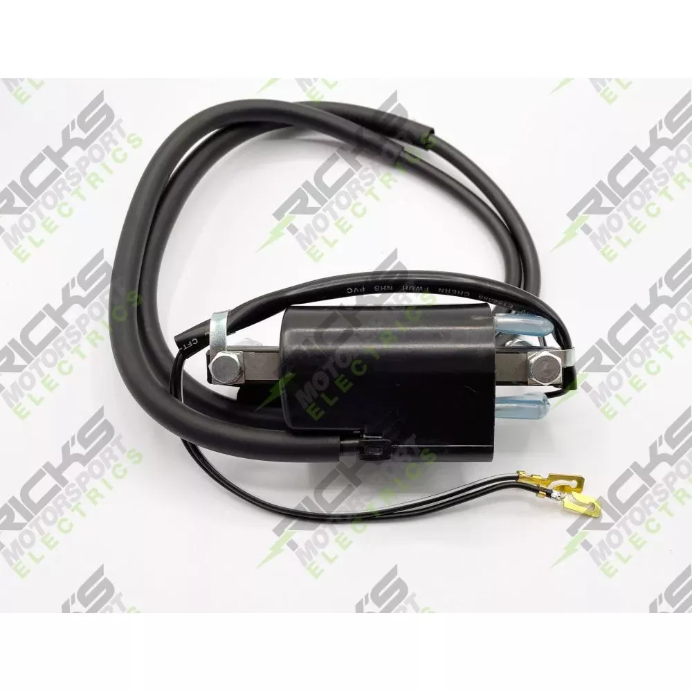 Ricks Ignition Coil 23-107