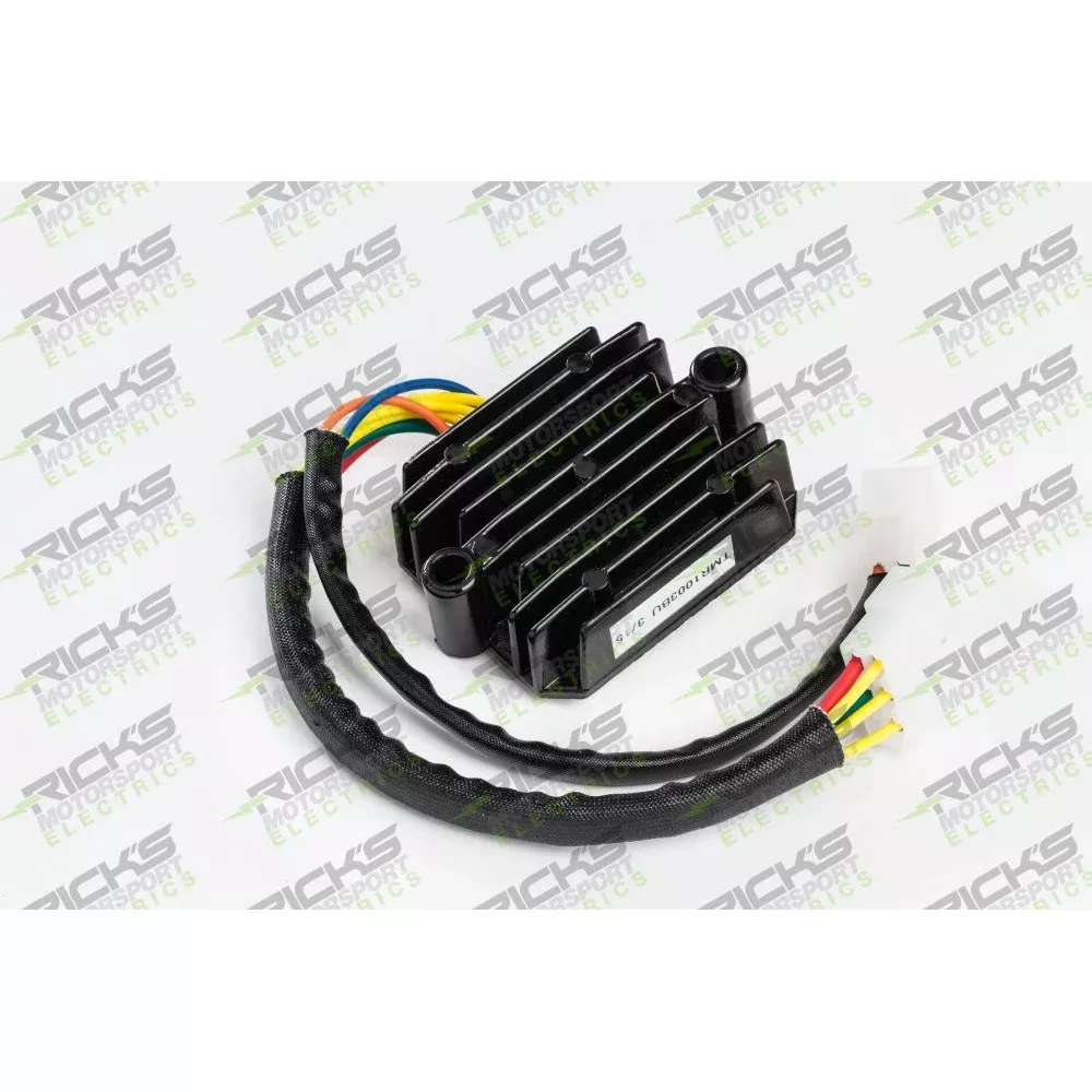 Ricks Rectifier-Regulator 10-231