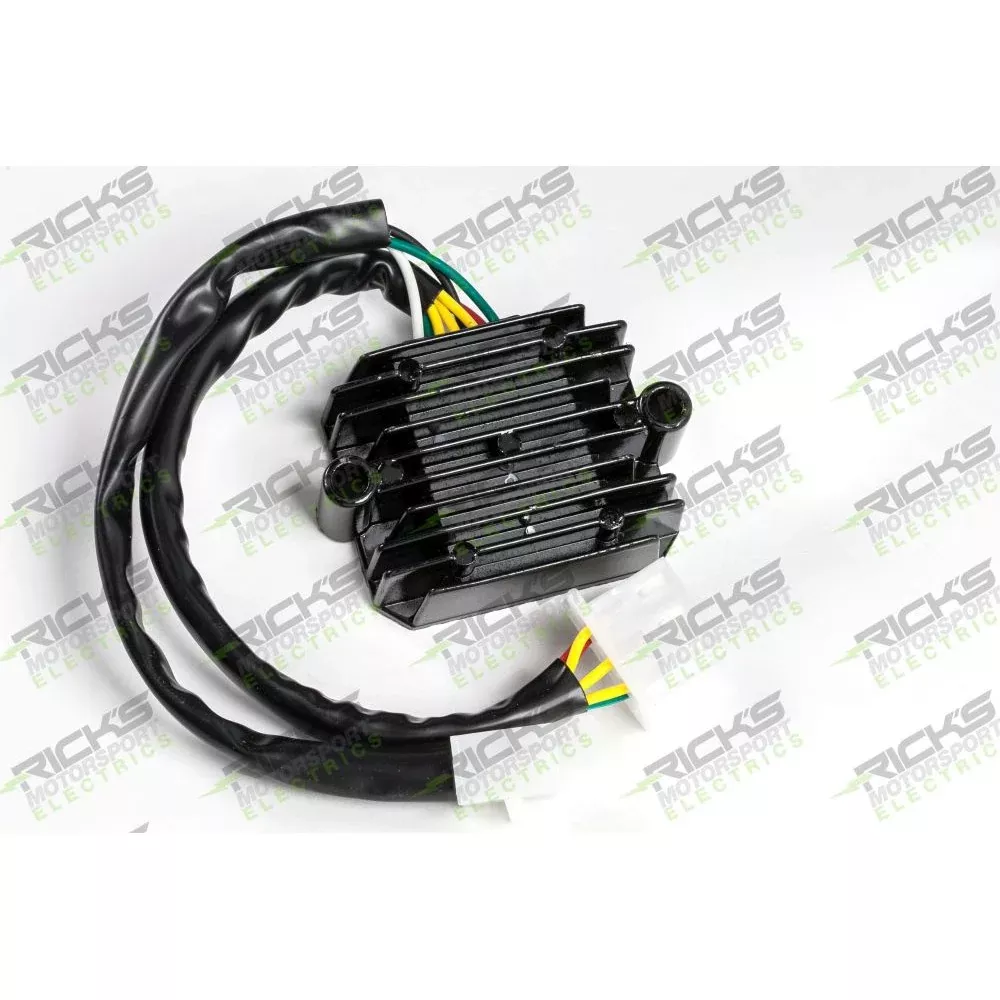Ricks Rectifier-Regulator 10-411