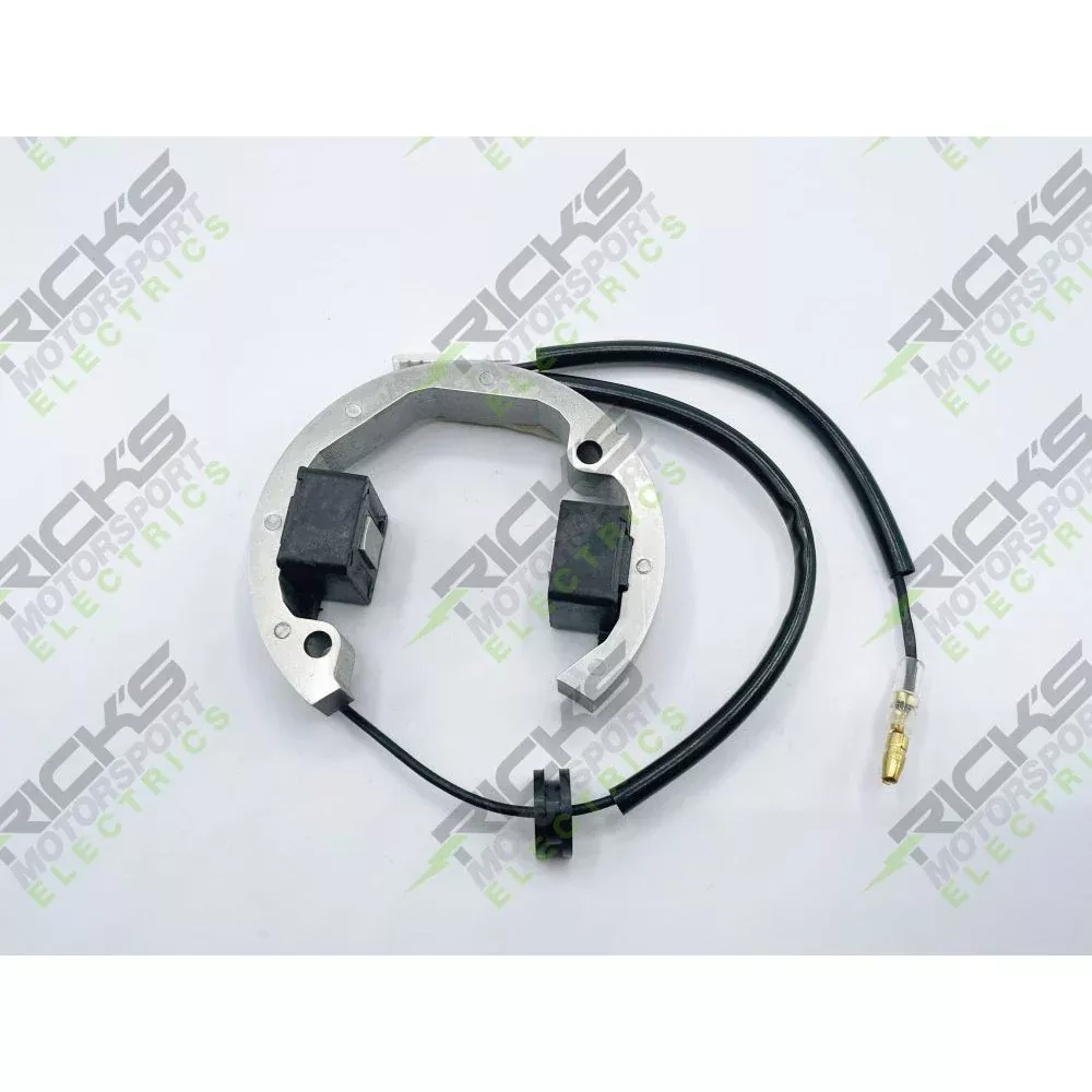 Ricks Stator 21-0093
