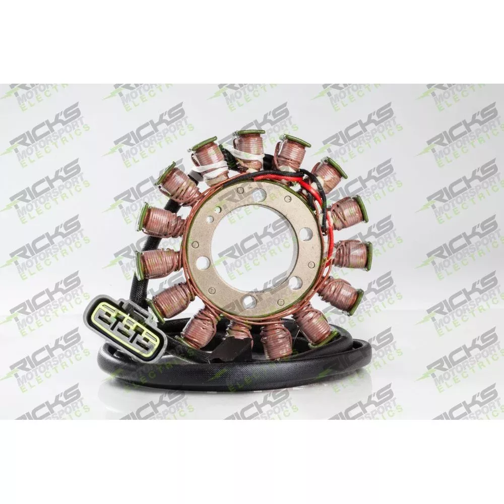 Ricks Stator For Ducati Multistrada 1200 2010-2014 21-032