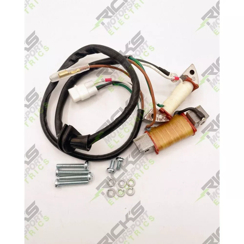 Ricks Stator Rebuild Kit For Yamaha YZ80 1997-2001 22-905