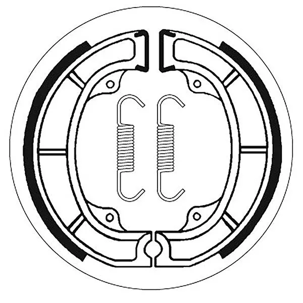 SBS Brake Shoes With Springs (5192107100)